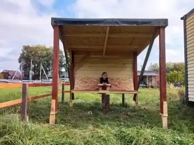 Смородина - 80