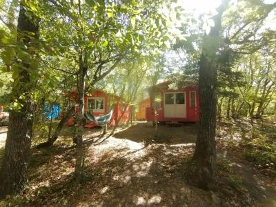 Эколоджия - 58