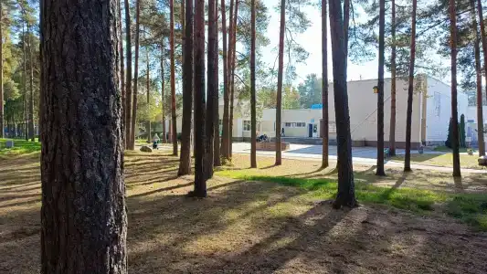 Буревестник - 2