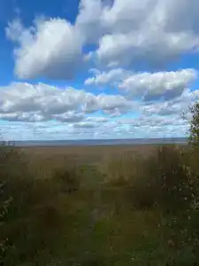Сокол - 9