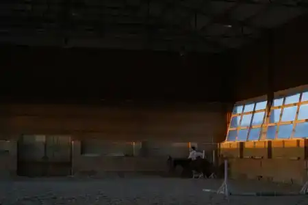 СВХ - 67