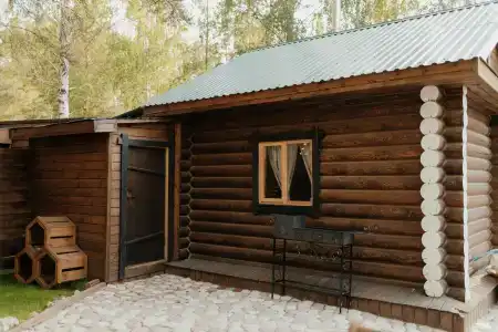 Магия леса - 48