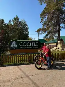 Сосны - 14