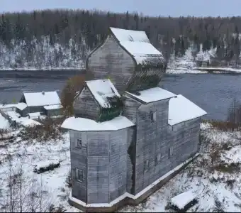 Маркомусы - 11