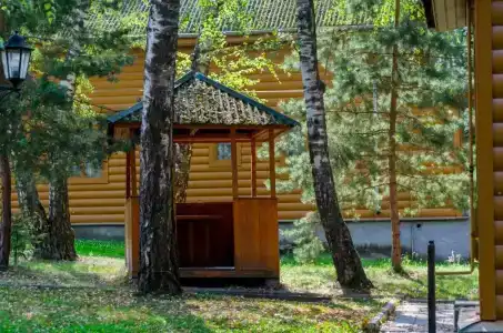 Березовая роща - 24