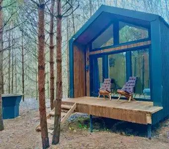 Сосны. Пространствие - 46