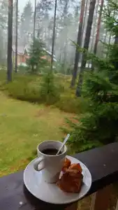 Морошка Эко Вилладж - 13