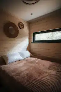 Аквафорест - 12
