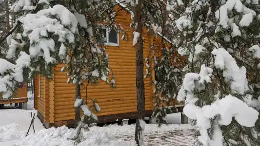 Сосновые дома - 76