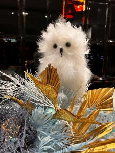 Меридиан - 81