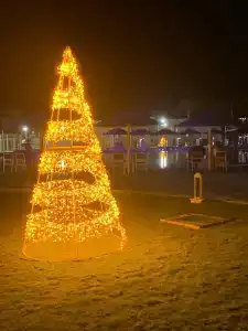 Beach Albatros - - 71