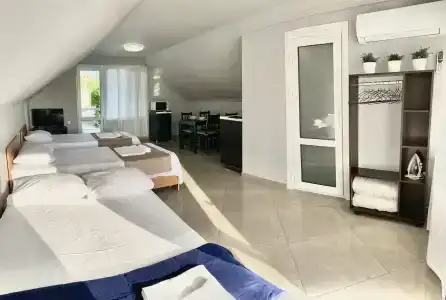 Альбатрос - 60