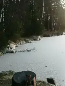 Бузим Красноярск - 93