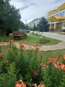 Ока - 22
