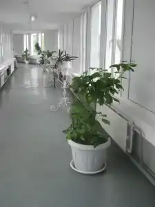 Соловьиные зори - 18