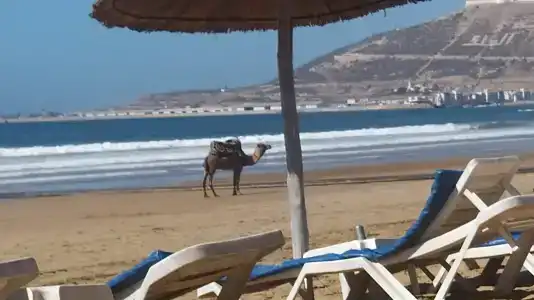 Atlas Amadil Beach - 9