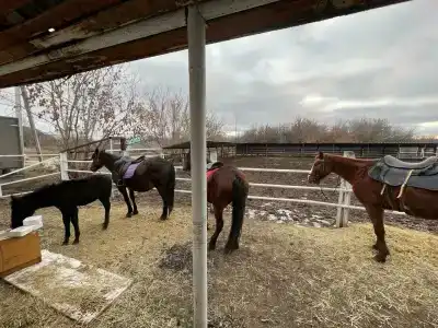 Ташлы - 21