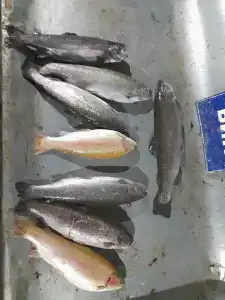 Рыбалка на Юдинках - 25