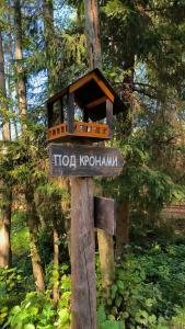 Под кронами - 19