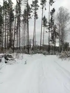 Dolina village - 12