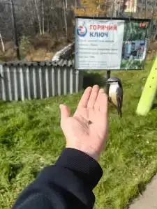Горячий ключ - 63