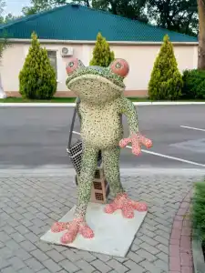 Голубая бухта - 40