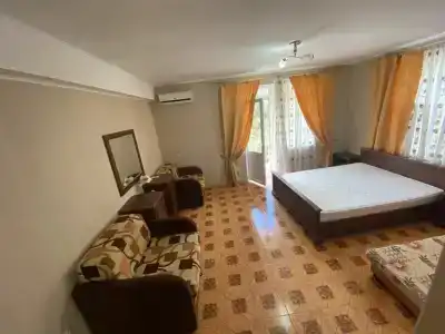 Розмарин - 28