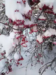 Усадьба - 45