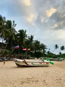 Pandanus Beach Resort & Spa - 89