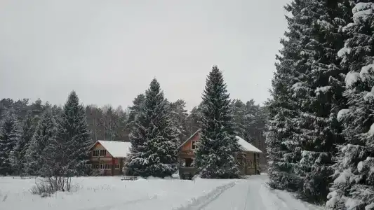 Приокская поляна - 8