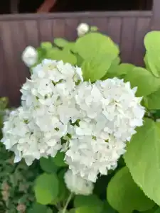 Поместье Налимова - 46