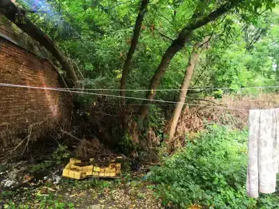 Дрим Хаус - 29