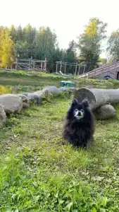 Южный Парк - 21