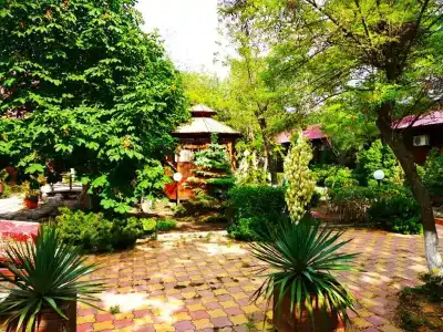 Золотая вилка - 8