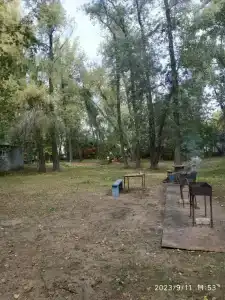 Бодрость - 81