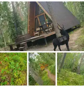 Глэмпинг Shanti Home - 67