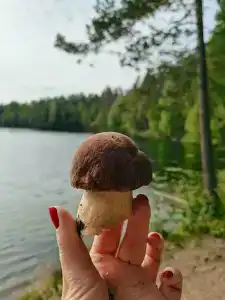 Вечера на Хуторе - 17