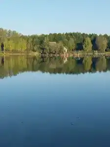 Три медведя - 0