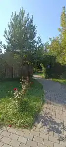 Варваровка - 36