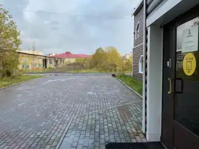 Тундра - 26