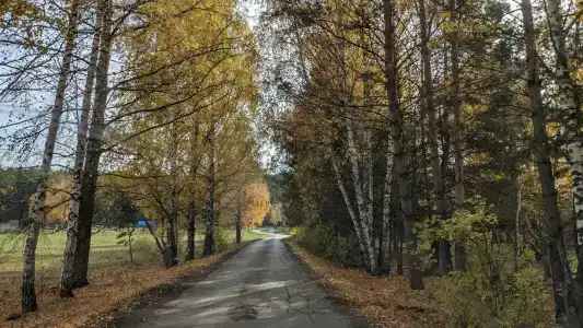 Купец - 16