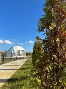 Гектария - 6