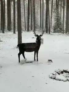 Глэмпинг Shanti Home - 26