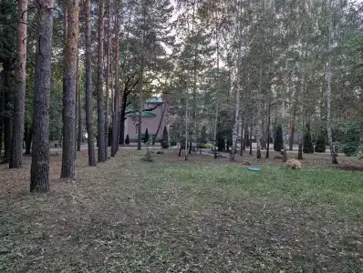 Волга - 77