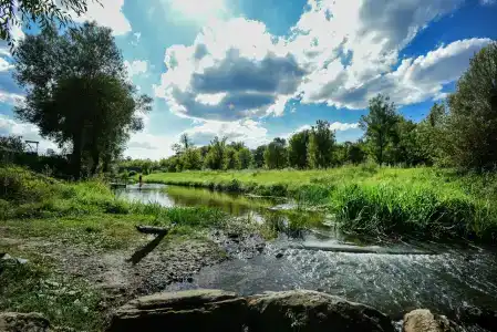 Мадагаскар - 14