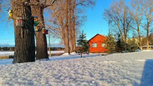 Катунино - 20