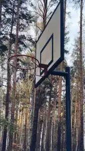 Мёд - 13