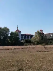 Зелёный берег - 5