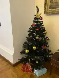 Усадьба Мосоловых - 89