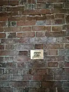 Дрим Хаус - 91